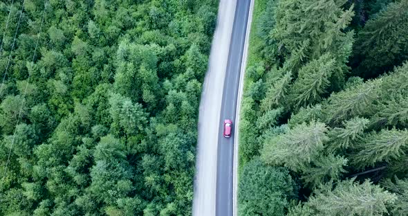 Aerial view of summer forest with a road. Captured from above with a drone.
