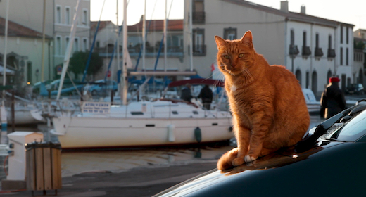 Town (Stock Footage)