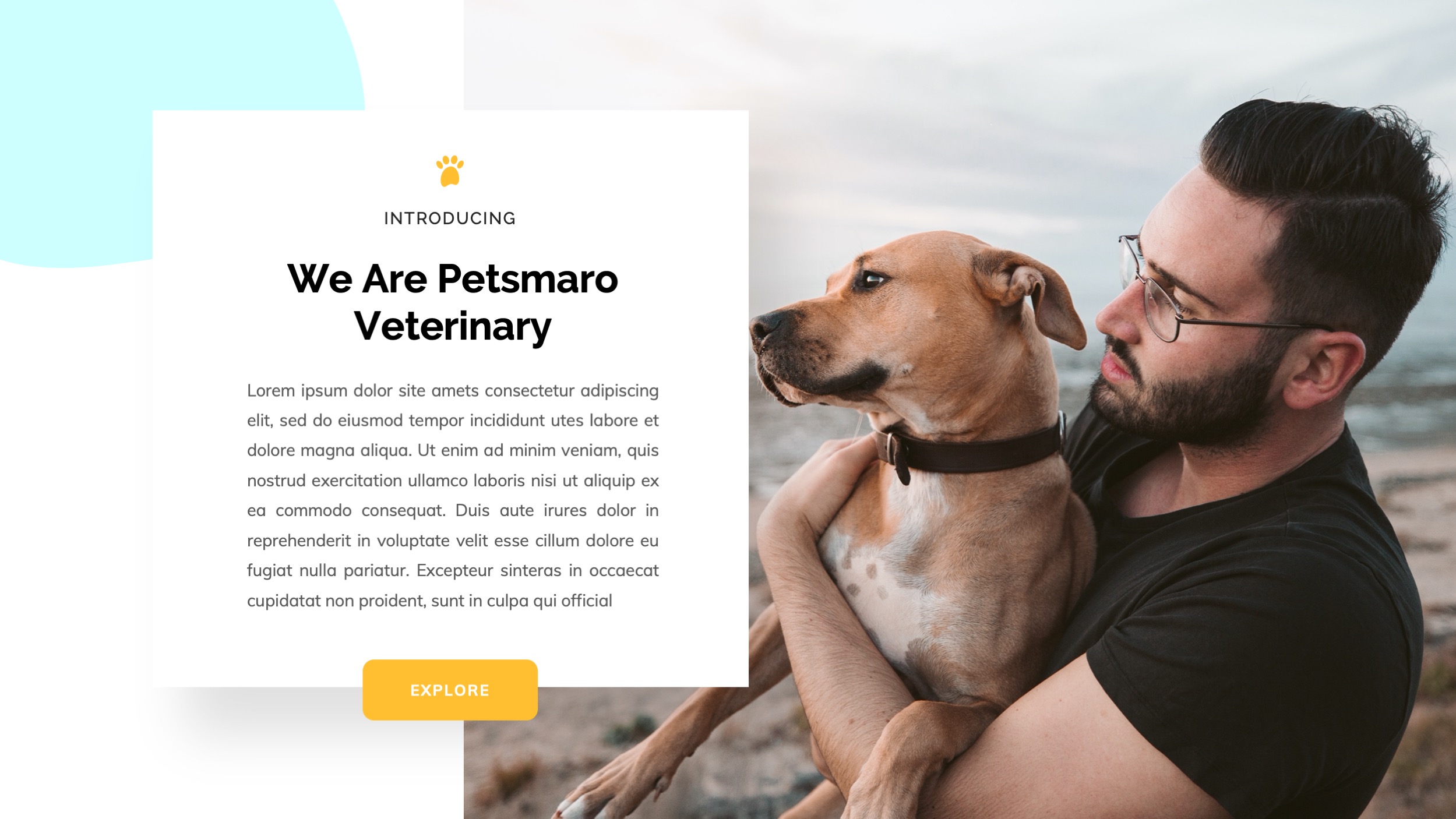 Pet Care & Veterinary PowerPoint Template, Presentation Templates ...