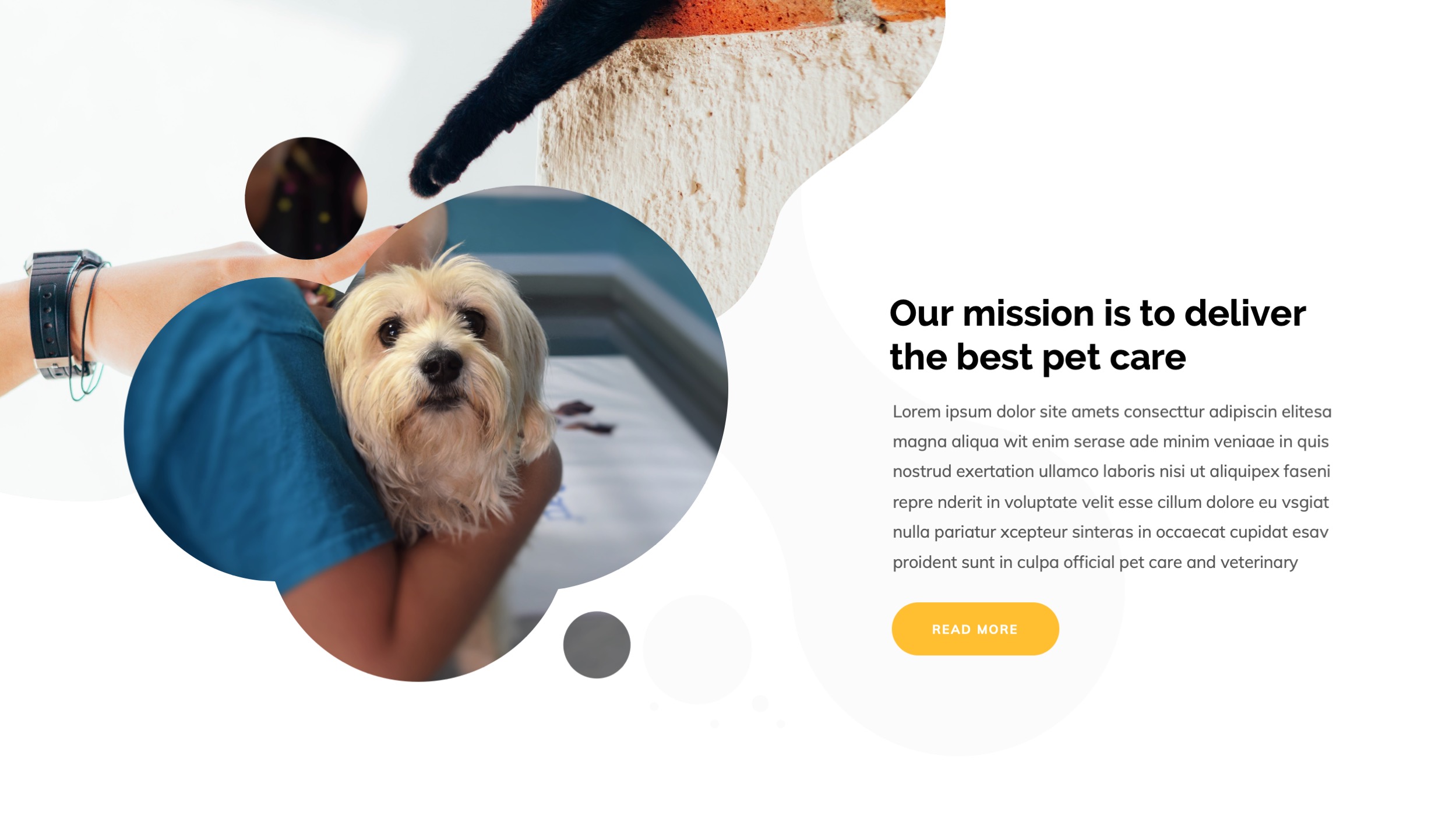 Pet Care & Veterinary PowerPoint Template, Presentation Templates ...