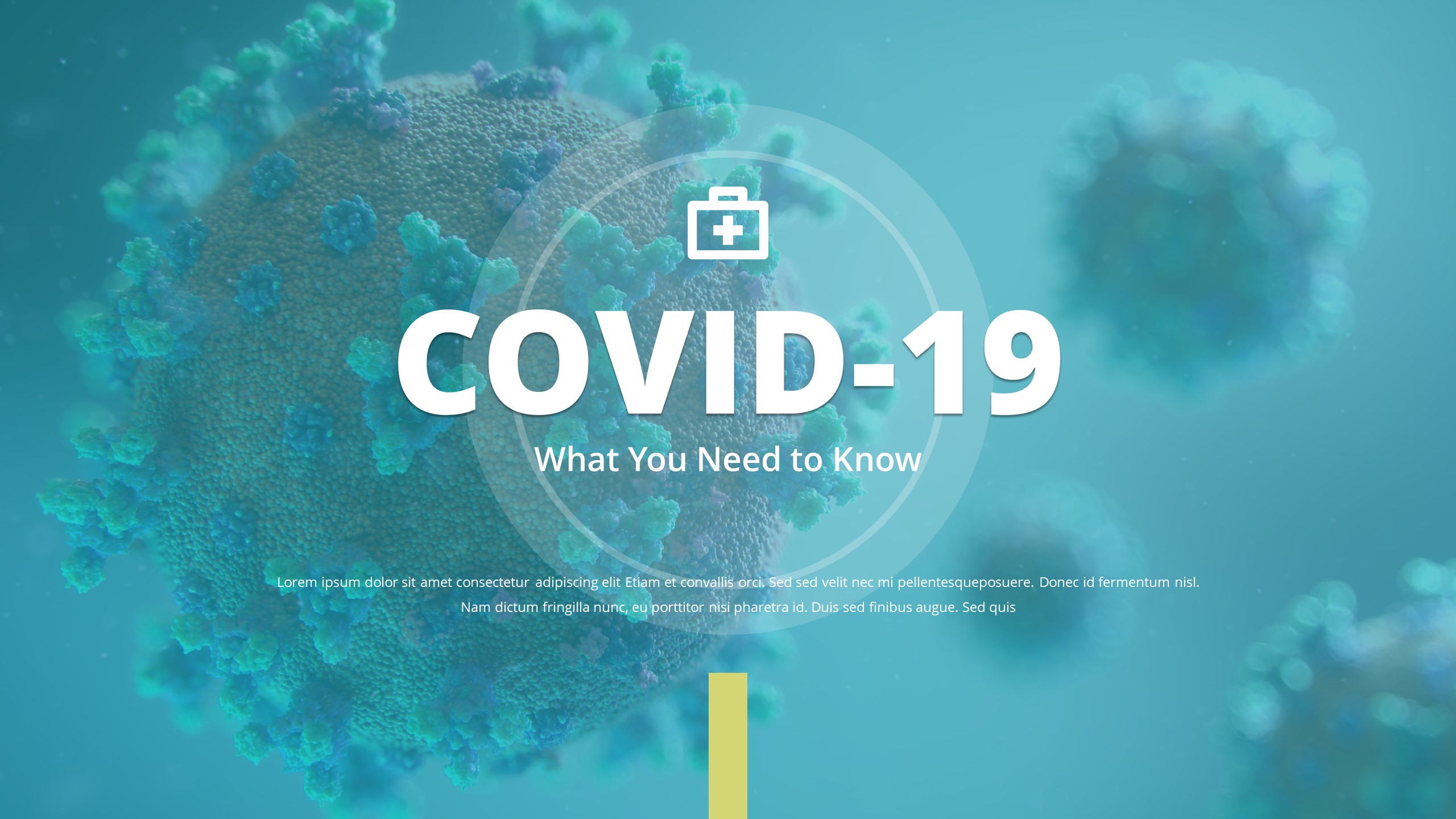 slide presentation about covid 19