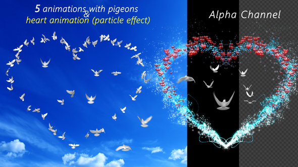 Pigeons animation (Heart with doves)