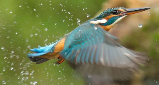 The Sounds of the Inner River