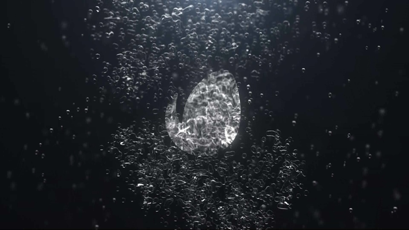 Bubble Splash Reveal