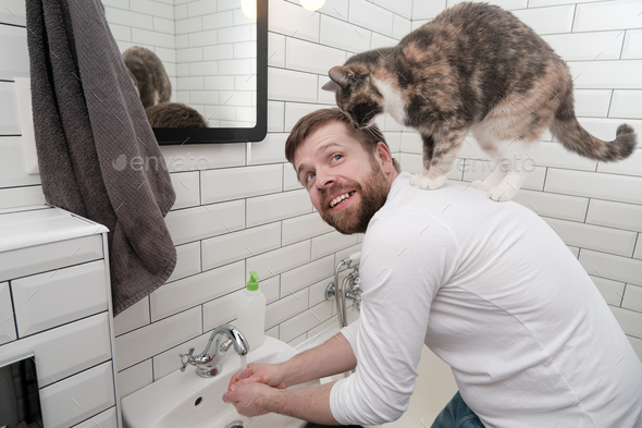 Satisfied man washes his handsand his adorable cat climbed onto his back in the bathroom