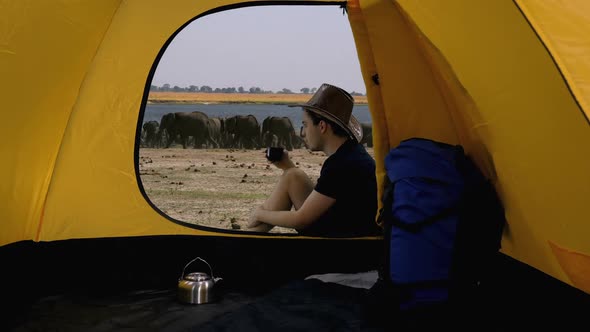 View from Tent of Hiker Sitting and Looking at Herd of Elephants near Watering Hole, Botswana