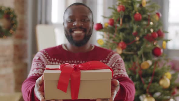 Portrait of Happy Afro-American Man with Christmas Gift at Home alt