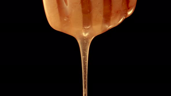 Honey Dripping Pouring From a Honey Dipper on a Black Isolated Background alt
