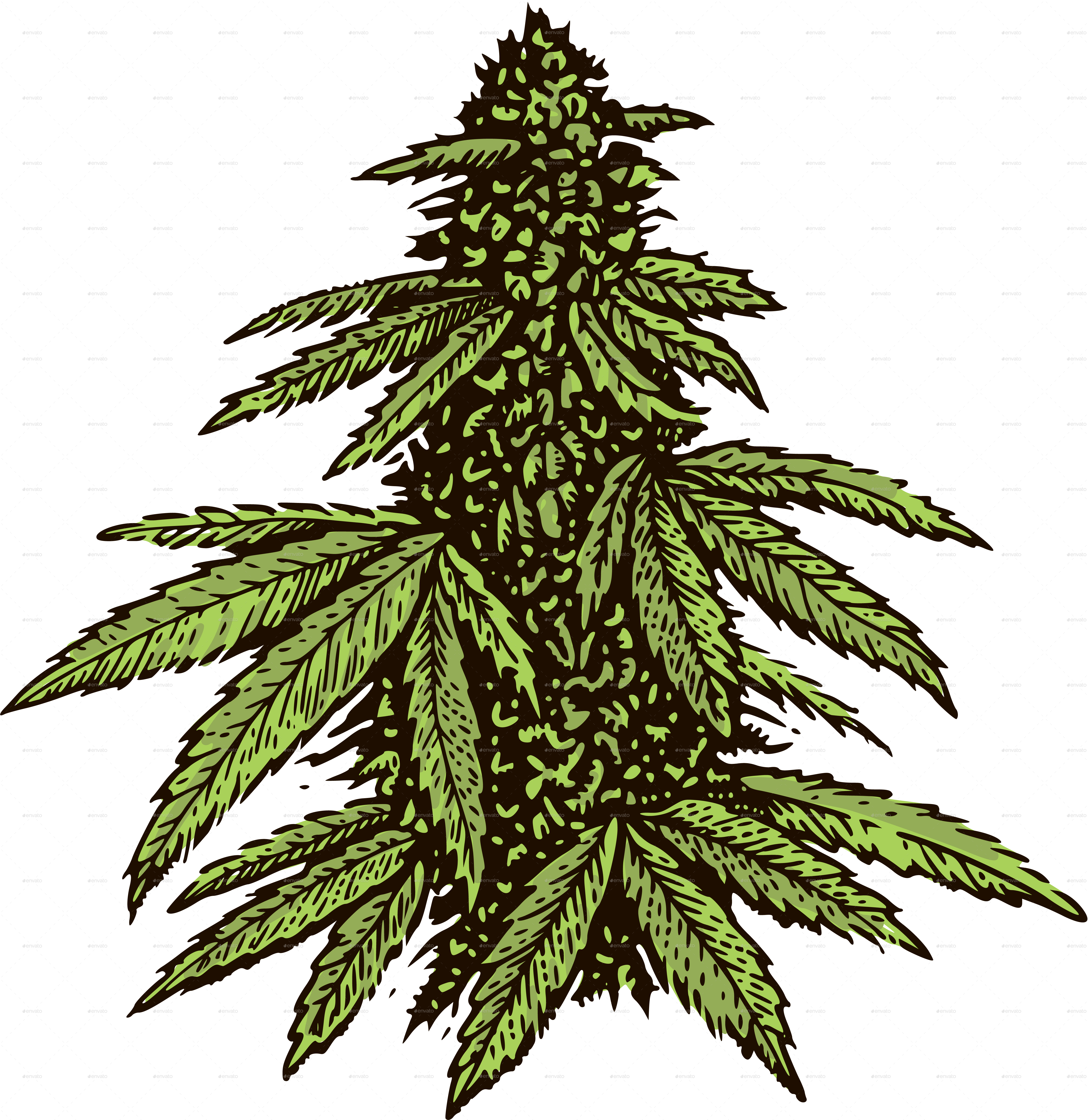 Marijuana Bud By Roktiv Graphicriver