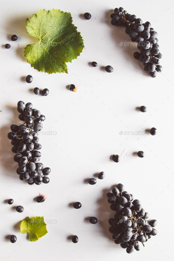 Grapes with grape leaf isolated on white background - Stock Photo - Images