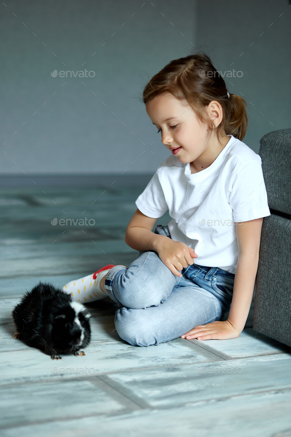 Child playing with guinea pig, stay quarantine time kid home.