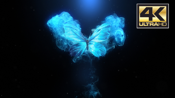 Flying Butterfly Logo Reveal 4k