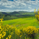 Tuscany hills landscape - PhotoDune Item for Sale