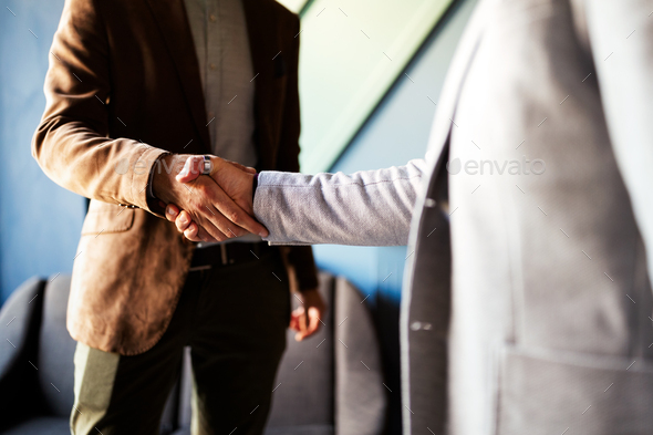 Business handshake and business people concept. Partnership, deal, agreement