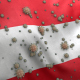 Covid Austria Flag / Corona Austria Flag - VideoHive Item for Sale