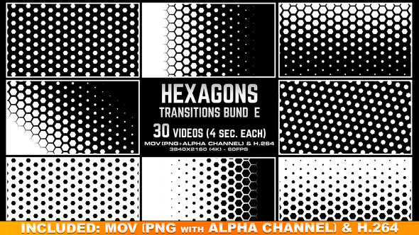 Hexagons Transitions Bundle - 4K alt