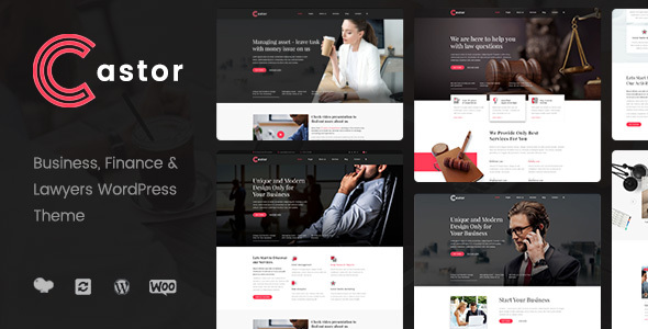 Castor – Business Consulting WordPress Theme