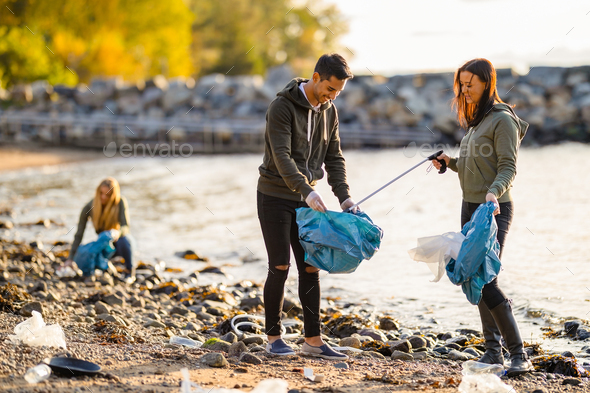 Team of volunteers cleaning beach on sunny day - Stock Photo - Images