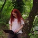 Laptop in the Forest - VideoHive Item for Sale