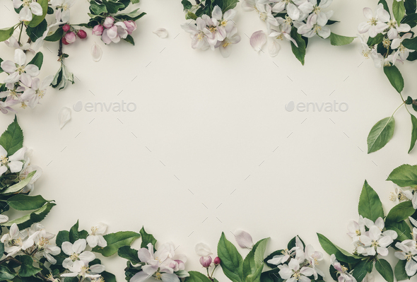 Frame With Apple Blossoms Spring Flower Background Top View Flat Lay Frame Stock Photo By Klenova