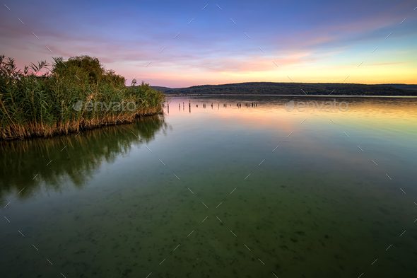 Calm lakeside - Stock Photo - Images