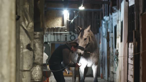 A Man Shines a Lantern on a Horse alt