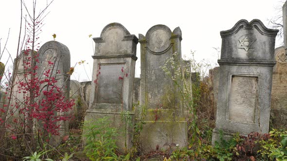 Old Jewish tombstones alt