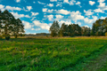Green meadows in summer under a blue sky with clouds - PhotoDune Item for Sale
