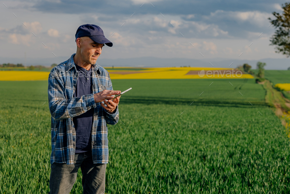 Modern Farmer Researcher Using Digital Tablet at Agricultural Field - Stock Photo - Images