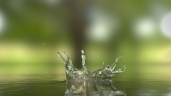 Water Drop Logo Reveal