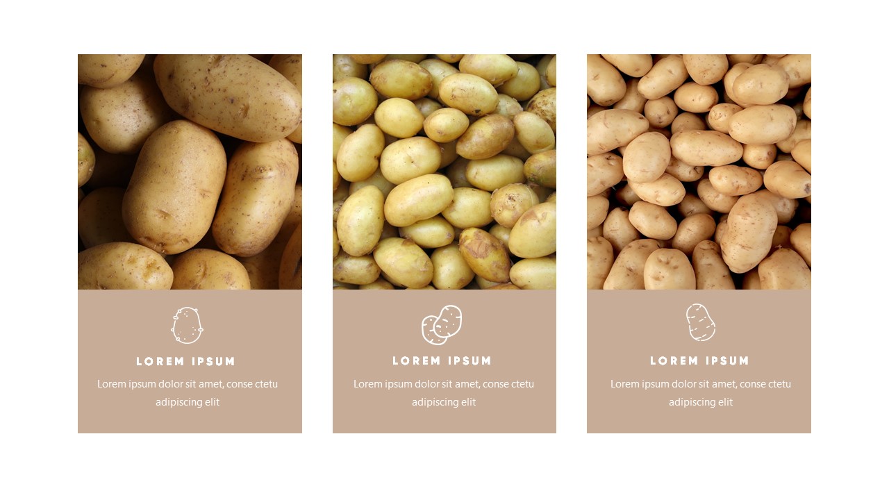 Potato Grocery & Organic Food Powerpoint Template, Presentation Templates