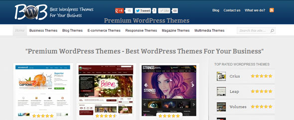 Site preview