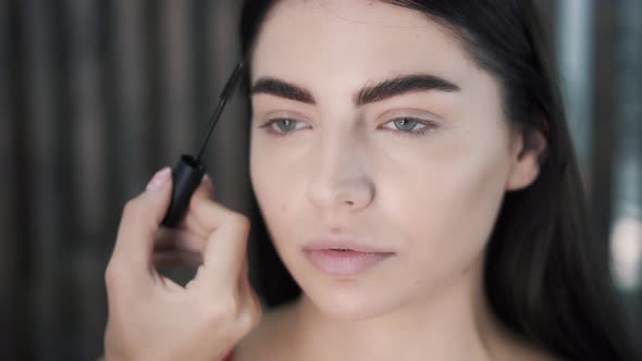 Closeup of a Makeup Artists Hand Apply Mascara on the Eyebrows alt