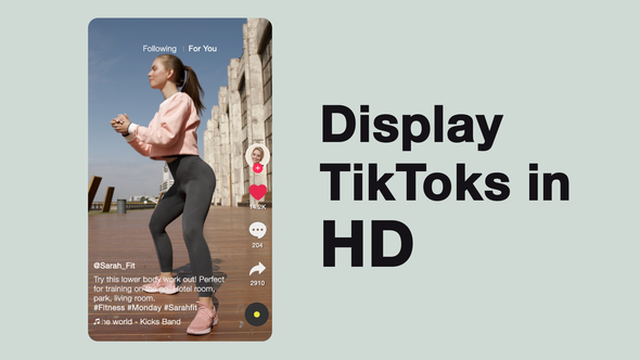 TikTok - VideoHive 26596382
