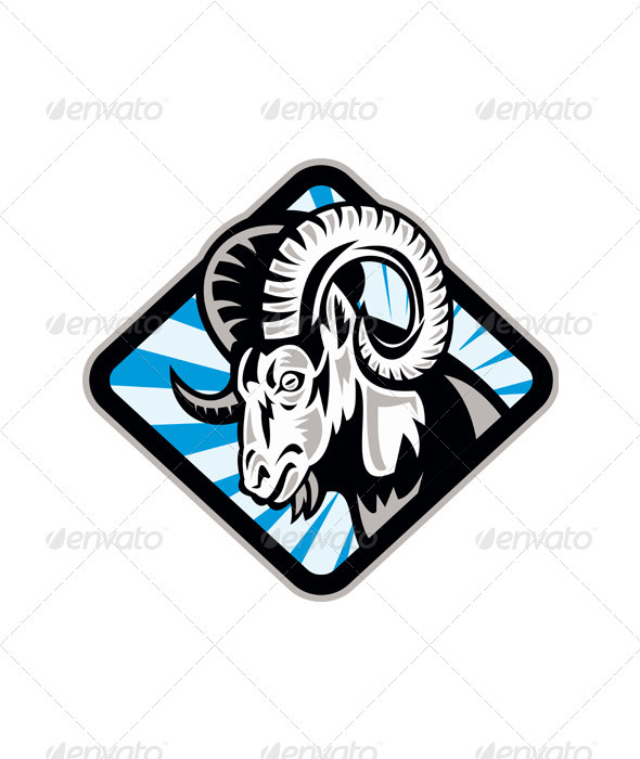 Bighorn Ram Sheep Goat