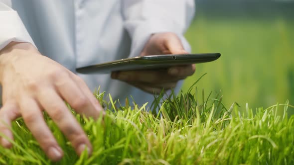 Professional Gardener in White Gown Checking Grass Quality and Typing on Gadget Tablet Touching alt