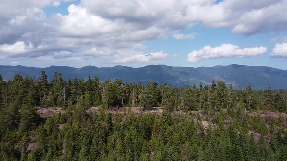 Aerial West Coast Second Growth Logged Forest - Thunder Mountain, Vancouver Island, BC, Canada alt