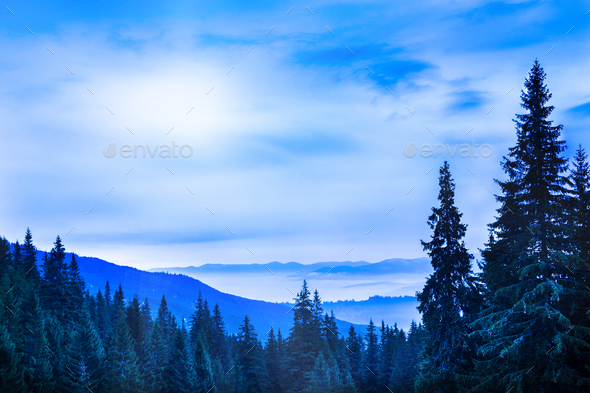 Beautiful scenic landscape of winter mountain forest - Stock Photo - Images