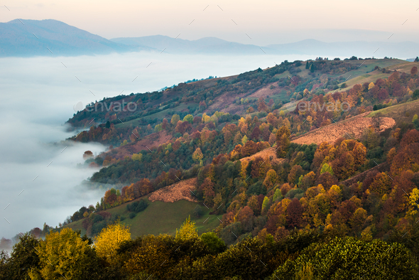Beautiful morning landscape with autumn foggy mountains - Stock Photo - Images