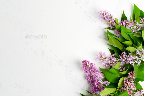 Greeting frame from fresh lilac flowers with green leaves on a light grey marble background. Top - Stock Photo - Images