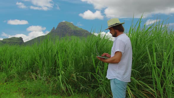 Farmer Agronomist with Laptop in Cane Crop Field Serious Confident Man Using Modern Technology in alt