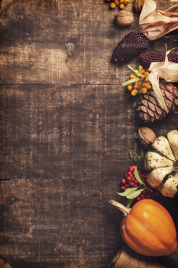 Autumn background. Thanksgiving, harvest, halloween concept flat