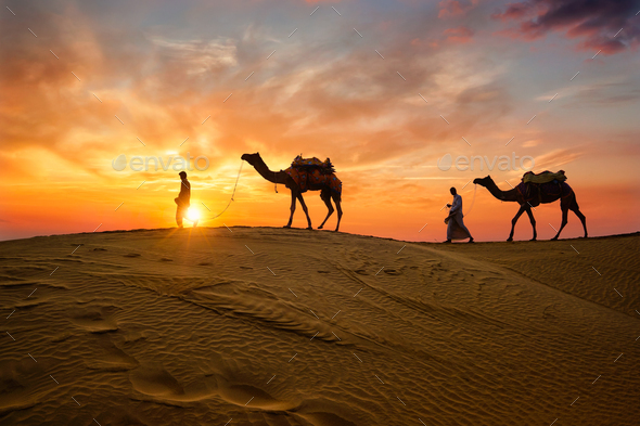 Indian cameleers camel driver with camel silhouettes in dunes on sunset. Jaisalmer, Rajasthan, India - Stock Photo - Images