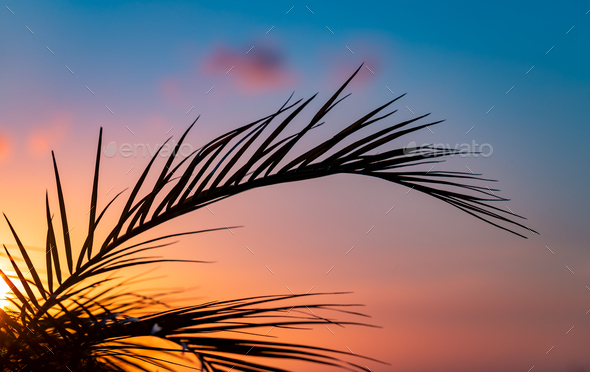 Summer vacation background - Stock Photo - Images