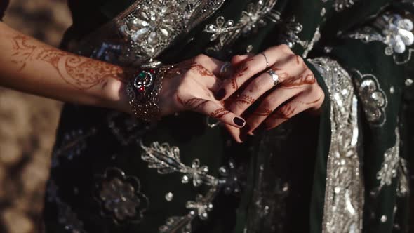 Silhouette of Beautiful Lady Wearing Gorgeous Traditional Dress Performing Bollywood Festival Show alt