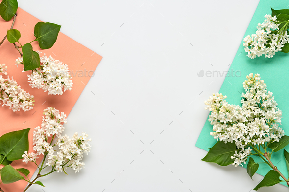 Blossom - Stock Photo - Images