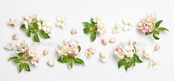 Blossom - Stock Photo - Images