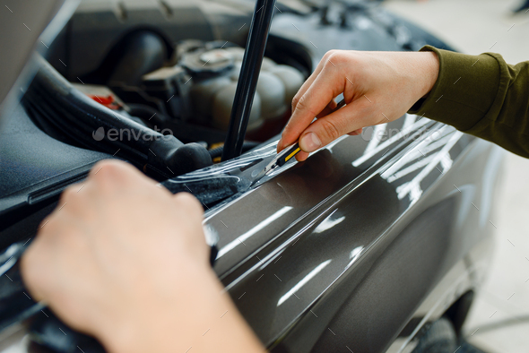 Worker installs protection film on car hood - Stock Photo - Images