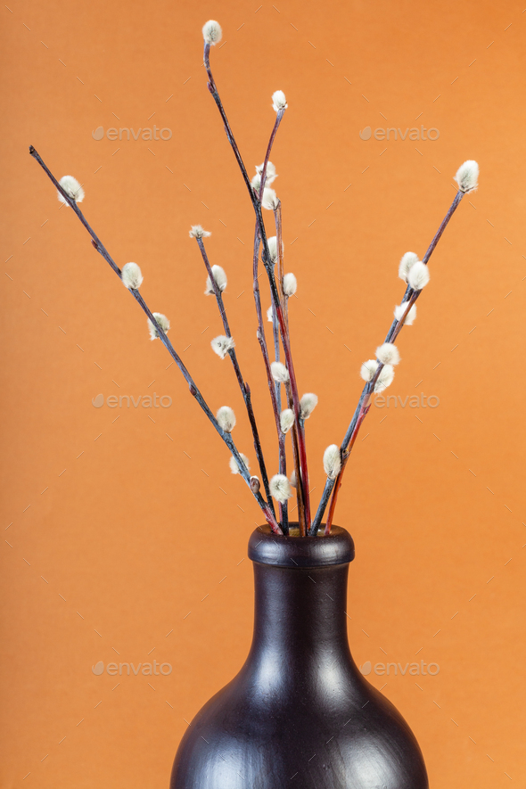 flowering pussy-willow twigs in ceramic bottle - Stock Photo - Images