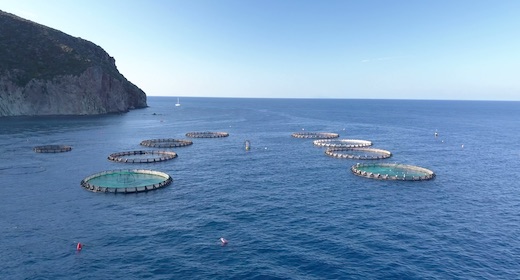 Aquaculture